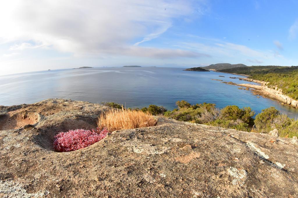 Village Naturiste La Chiappa Porto-Vecchio (Corsica) Exterior foto
